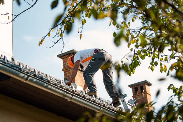 Best Slate Roofing Contractor  in Maineville, OH