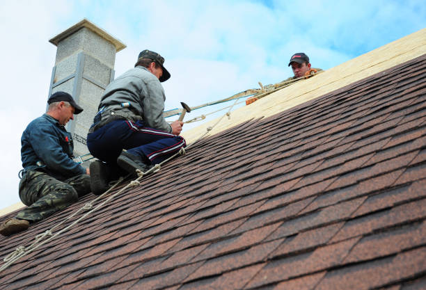 Best Storm Damage Roof Repair  in Maineville, OH
